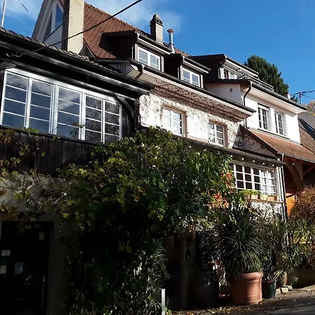 Holiday Apartment, Fewo Lenz, Im Freihof 9 Apartamento Binzen